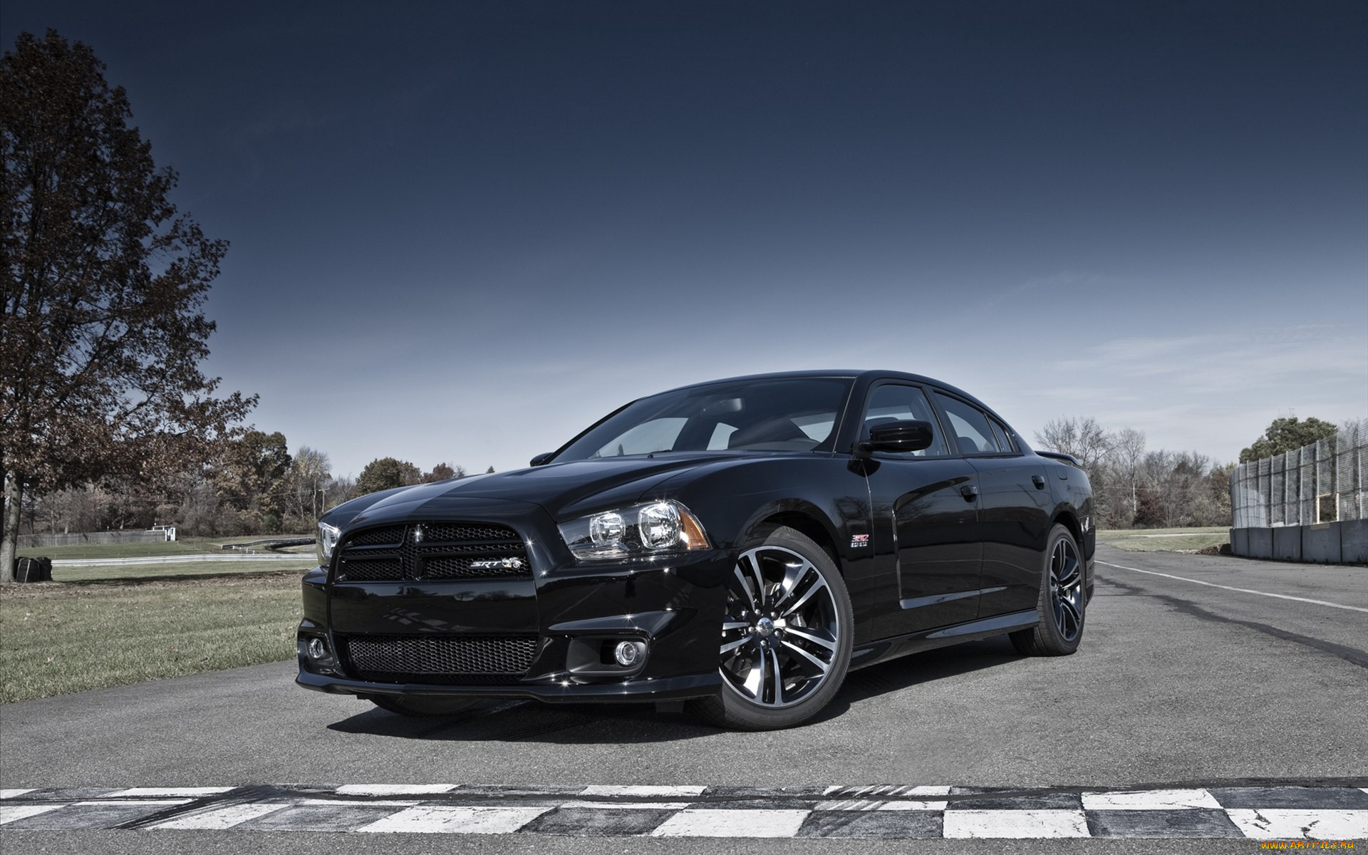 dodge, charger, srt8, super, bee, 2012, 